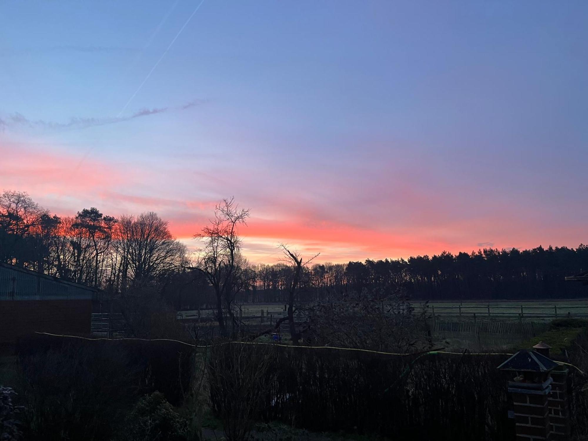 Wunderschoene Ferienwohnung Mit Balkon Auf Dem Bauernhof Greven Eksteriør billede