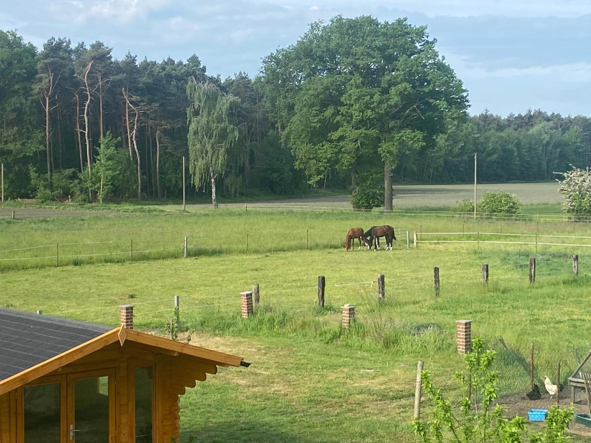Wunderschoene Ferienwohnung Mit Balkon Auf Dem Bauernhof Greven Eksteriør billede
