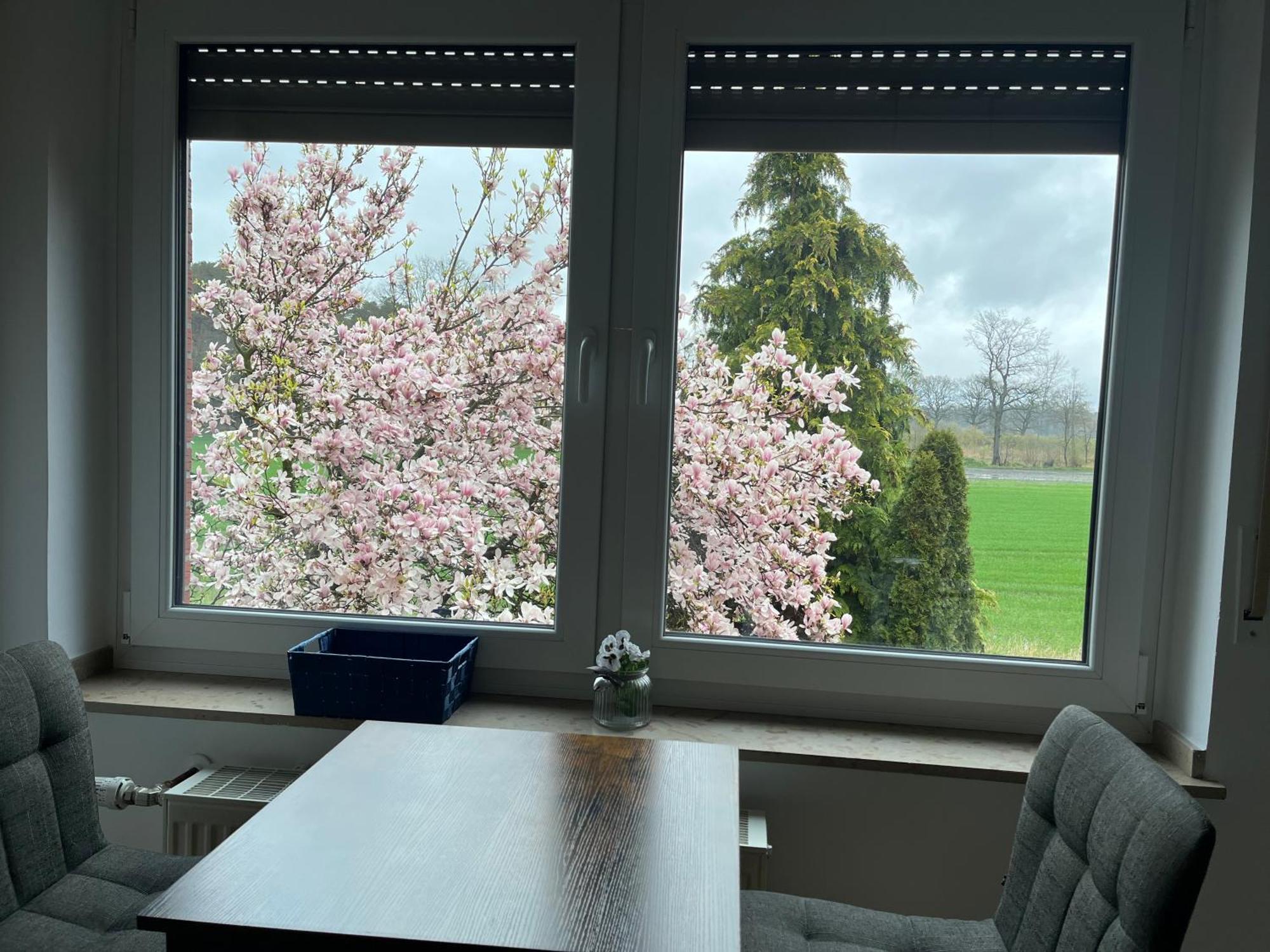 Wunderschoene Ferienwohnung Mit Balkon Auf Dem Bauernhof Greven Eksteriør billede